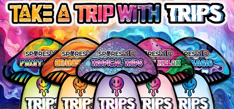 spot_img